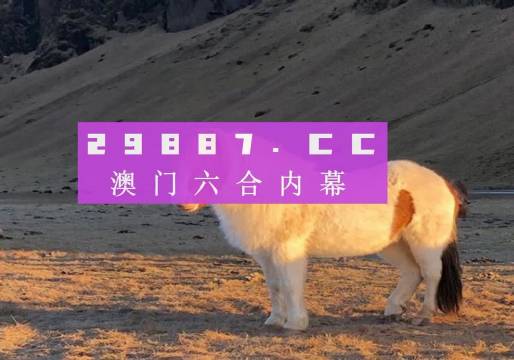 今晚一肖一码澳门一肖com,今晚一肖一码澳门一肖的独特魅力与预测探索