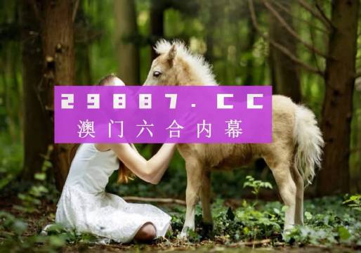新澳门六开奖结果2025开奖记录查询网站,澳门新开奖结果2023年开奖记录查询网站，探索与解析