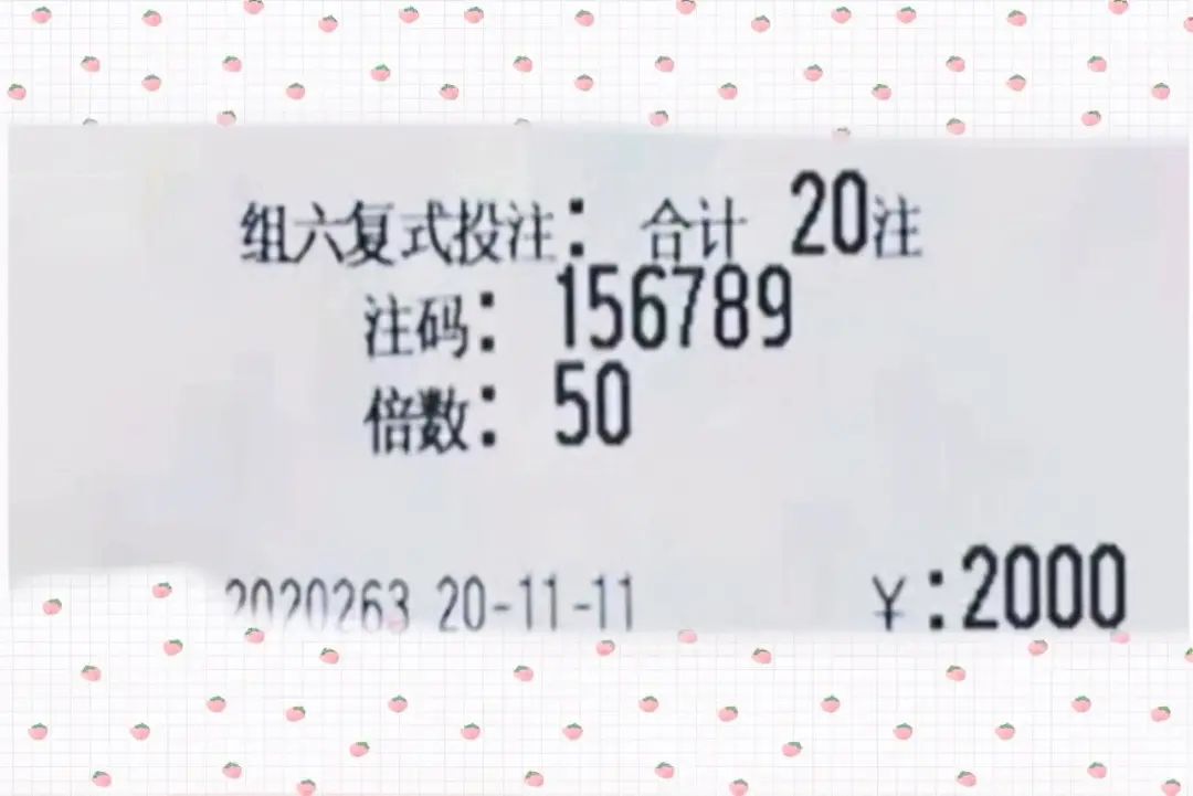 4949澳门今晚开奖结果,澳门彩票4949今晚开奖结果揭晓，探索彩票背后的故事